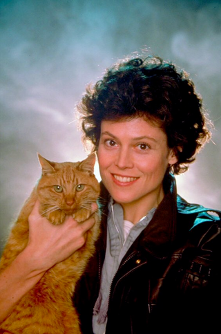 Illustration for article titled These images of Sigourney Weaver and the Alien cat will make your heart burst out of your chest
